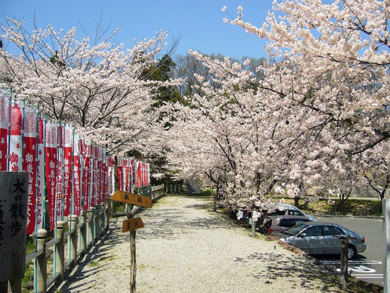 Ontake-san
Ontake-san, Yamato-hongu shrine© Flickr User - jun1