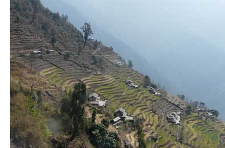 Nepal Annapurna & Mustang Region, Annapurna Sanctuary, , Walkopedia