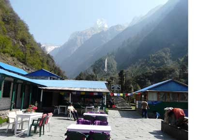 Nepal Annapurna & Mustang Region, Annapurna Sanctuary, , Walkopedia