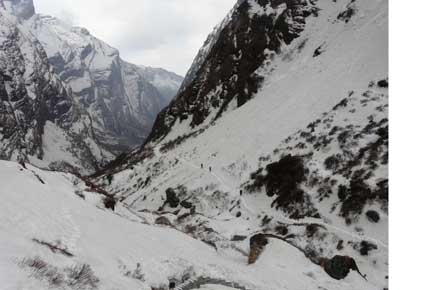 Nepal Annapurna & Mustang Region, Annapurna Sanctuary, , Walkopedia