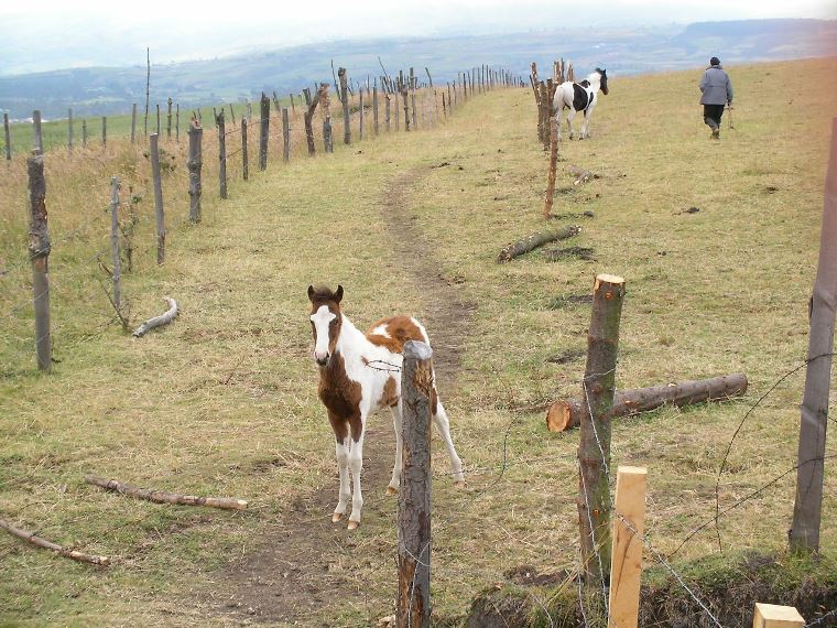 Ecuador Andes: Quito Area, El Chaupi, El Chaupi, Walkopedia