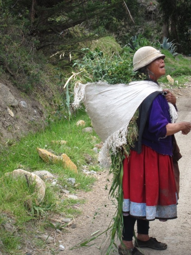 Ecuador Southern Andes, Camino Canari, , Walkopedia