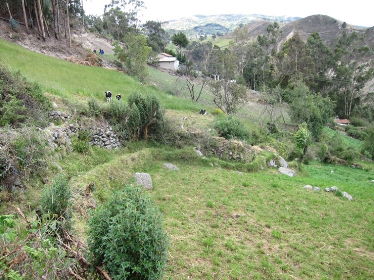 Ecuador Southern Andes, Camino Canari, Canari road and walls, Walkopedia