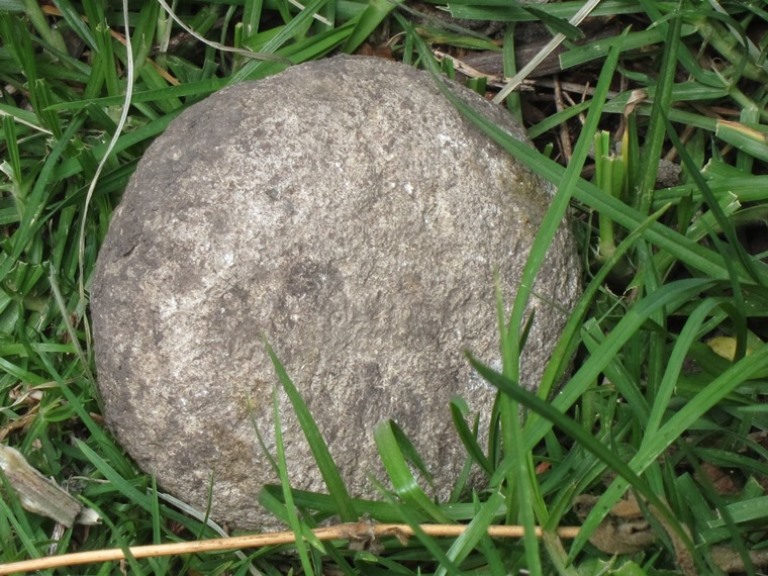 Ecuador Southern Andes, Camino Canari, Canari stone just lying on path, Walkopedia