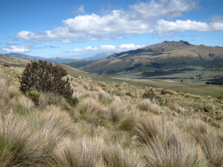 Ecuador Andes: Quito Area, Cerro Pasochoa, Pasochoa from Ruminahui flank, Walkopedia