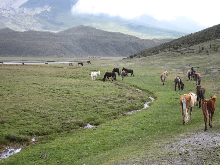 Ecuador Central Andes: Cotopaxi Area, Cotopaxi Circuit/Loop, , Walkopedia