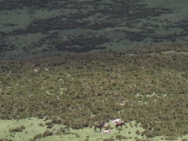 Ecuador Central Andes: Cotopaxi Area, Cerro Ruminahui, , Walkopedia