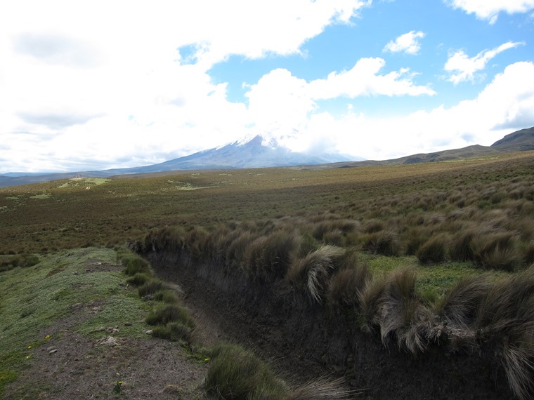 Ecuador Central Andes: Cotopaxi Area, Cerro Ruminahui, Dykes as field boundaries, Walkopedia