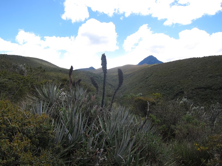 Ecuador Central Andes: Cotopaxi Area, Cerro Ruminahui, , Walkopedia