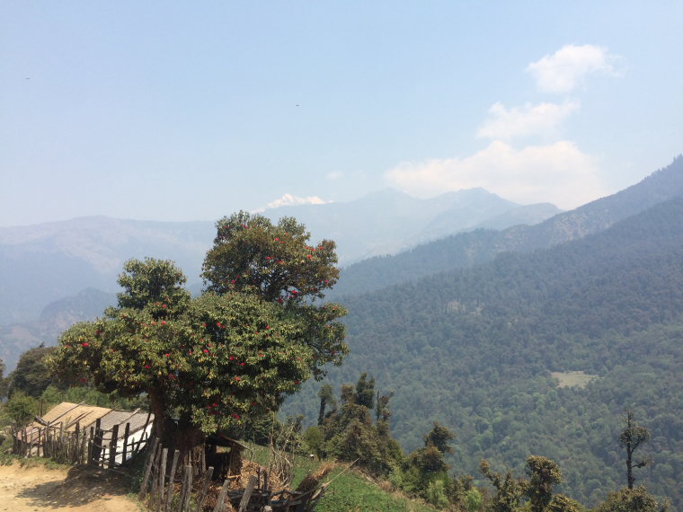 Nepal Annapurna & Mustang Region, Muktinath / Jomsom Trek, , Walkopedia