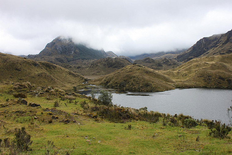 Ecuador Southern Andes: Cajas NP, Tour of the Cajas, Cajas, Walkopedia