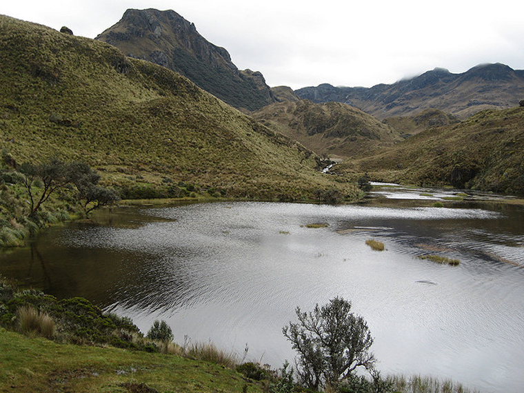 Ecuador Southern Andes: Cajas NP, Tour of the Cajas, Cajas, Walkopedia