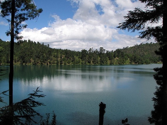 Ecuador Southern Andes: Cajas NP, Tour of the Cajas, Laguna Larga, Walkopedia