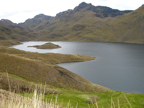 Ecuador Southern Andes: Cajas NP, Tour of the Cajas, Laguna Luspa, Walkopedia