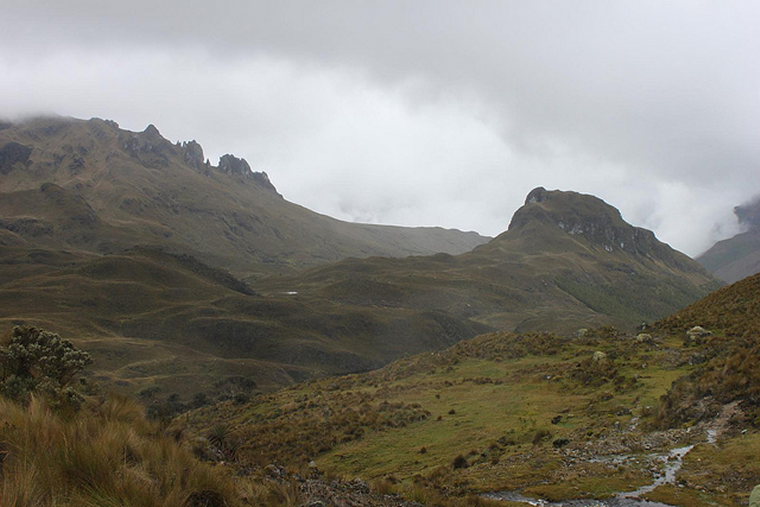 Ecuador Southern Andes: Cajas NP, Tour of the Cajas, cajas, Walkopedia