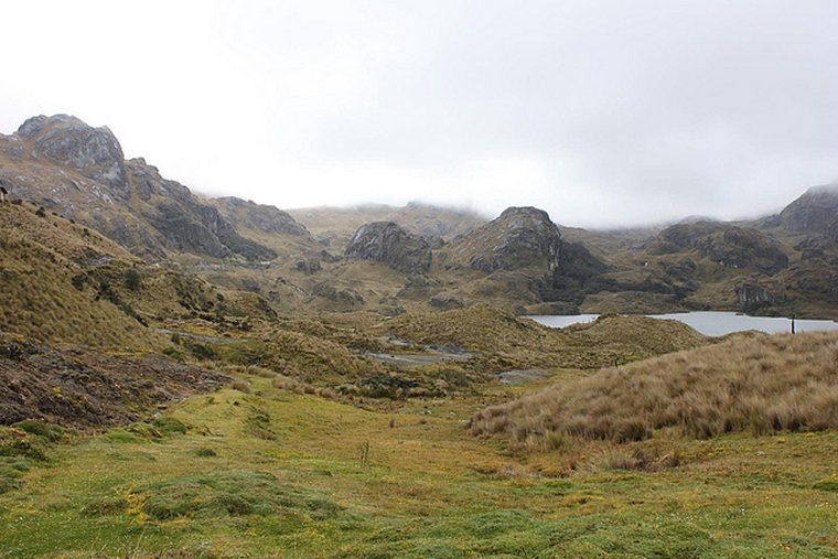 Ecuador Southern Andes: Cajas NP, Tour of the Cajas, , Walkopedia