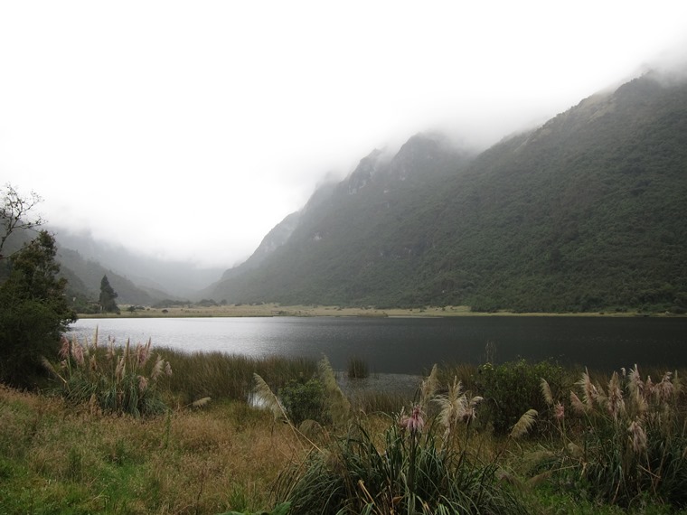 Ecuador Southern Andes: Cajas NP, Laguna Llaviuco, Laguna Llaviuvo, Walkopedia