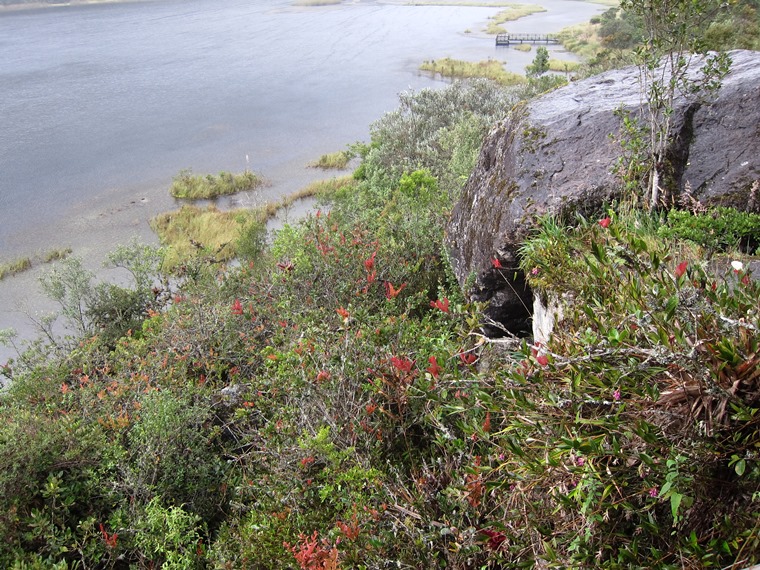 Ecuador Southern Andes: Cajas NP, Laguna Llaviuco, , Walkopedia