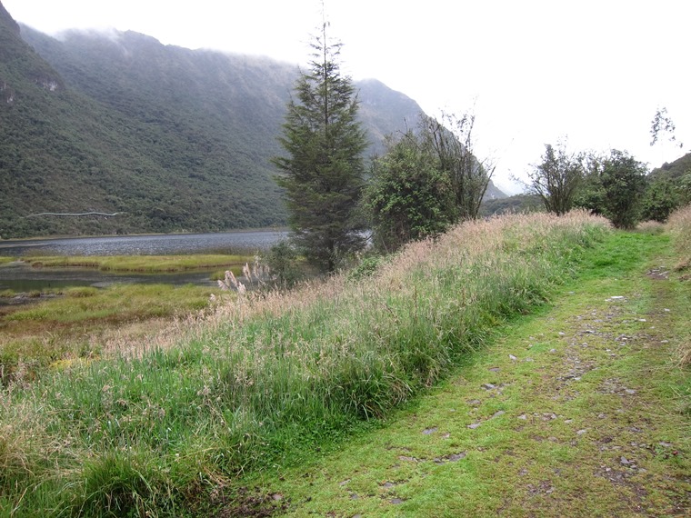 Ecuador Southern Andes: Cajas NP, Cajas Inca Road, Inca road at Laguna Llaviuco, Walkopedia