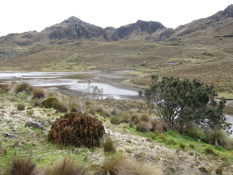 Ecuador Southern Andes: Cajas NP, Cajas NP, , Walkopedia