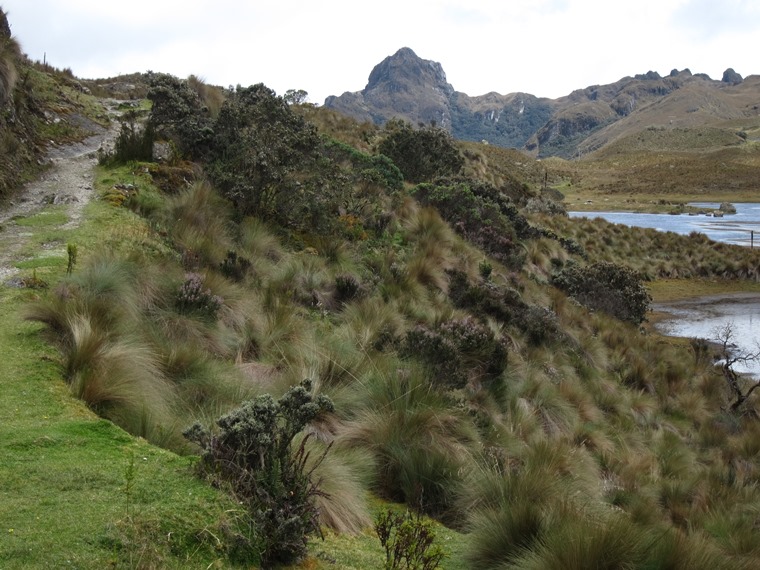 Ecuador Southern Andes: Cajas NP, Cajas NP, , Walkopedia