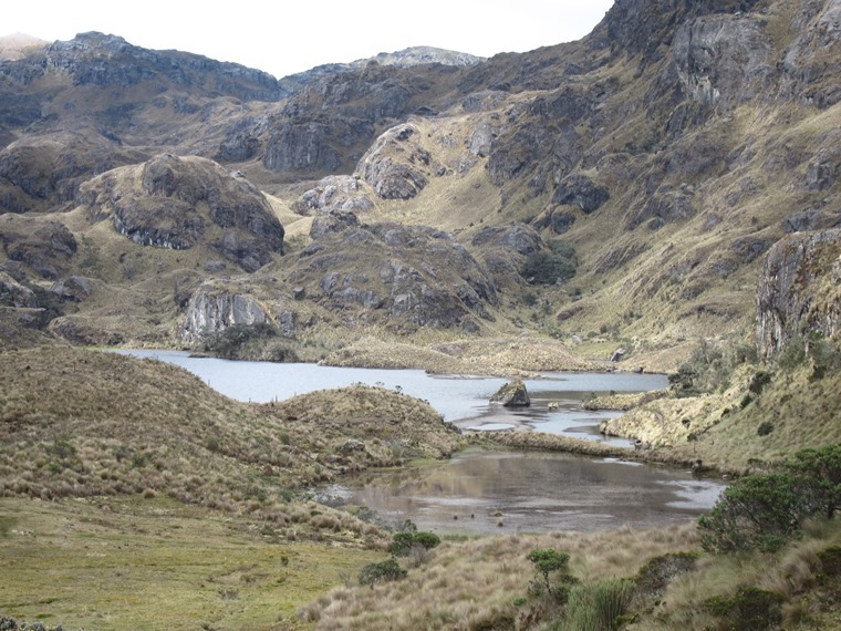 Ecuador Southern Andes: Cajas NP, Cajas NP, , Walkopedia