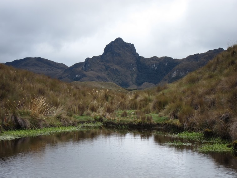 Ecuador Southern Andes: Cajas NP, Cajas NP, , Walkopedia