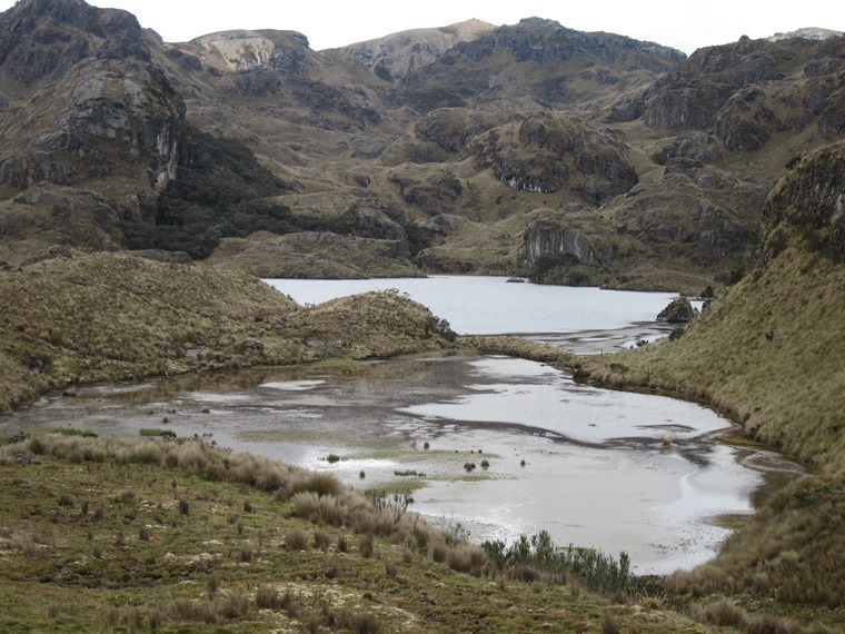 Ecuador Southern Andes: Cajas NP, Cajas NP, , Walkopedia