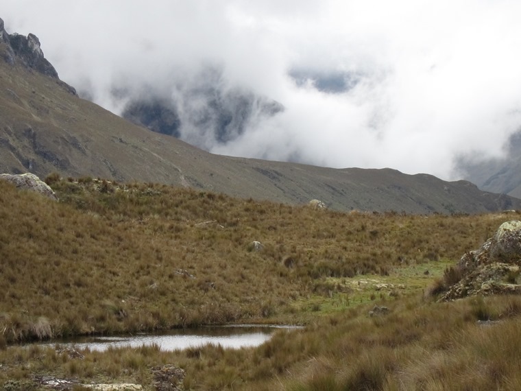 Ecuador Southern Andes: Cajas NP, Cajas NP, , Walkopedia