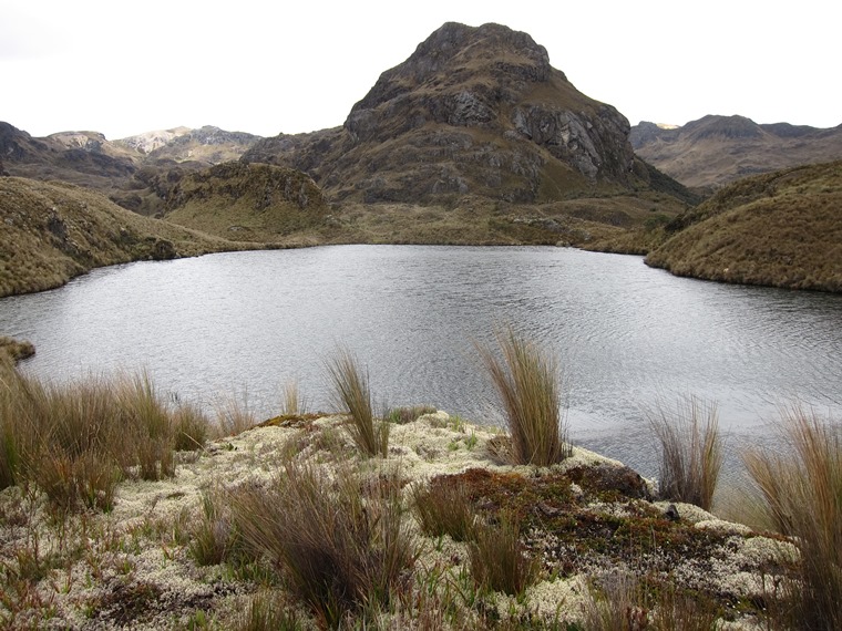 Ecuador Southern Andes: Cajas NP, Cajas NP, , Walkopedia