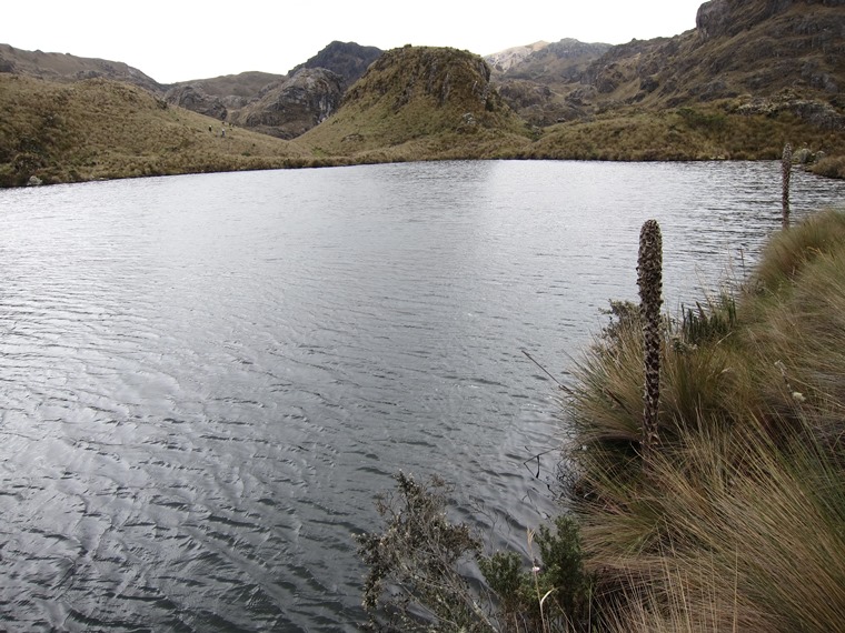 Ecuador Southern Andes: Cajas NP, Cajas NP, , Walkopedia