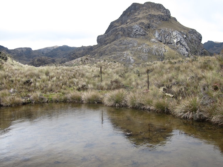 Ecuador Southern Andes: Cajas NP, Cajas NP, , Walkopedia