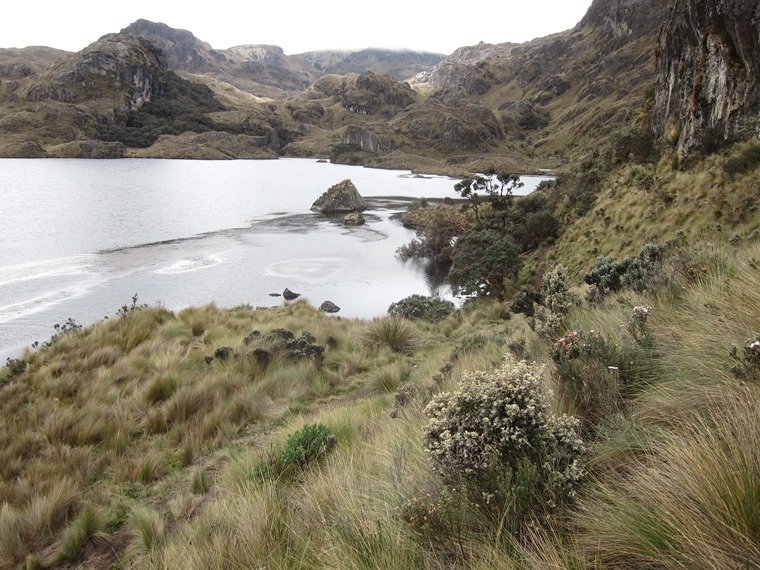 Ecuador Southern Andes: Cajas NP, Cajas NP, , Walkopedia