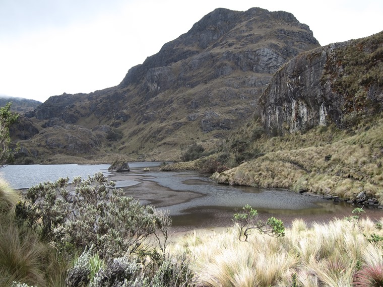 Ecuador Southern Andes: Cajas NP, Cajas NP, , Walkopedia