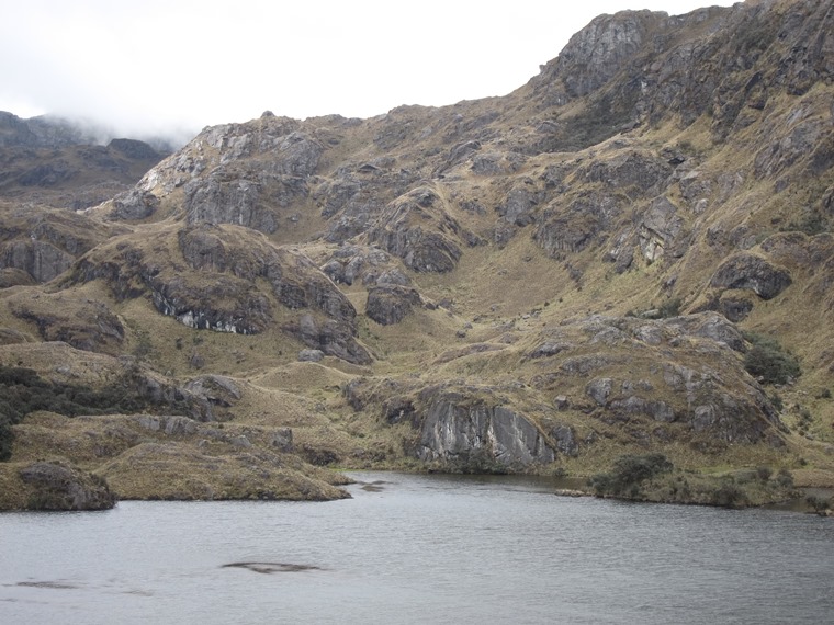 Ecuador Southern Andes: Cajas NP, Cajas NP, , Walkopedia