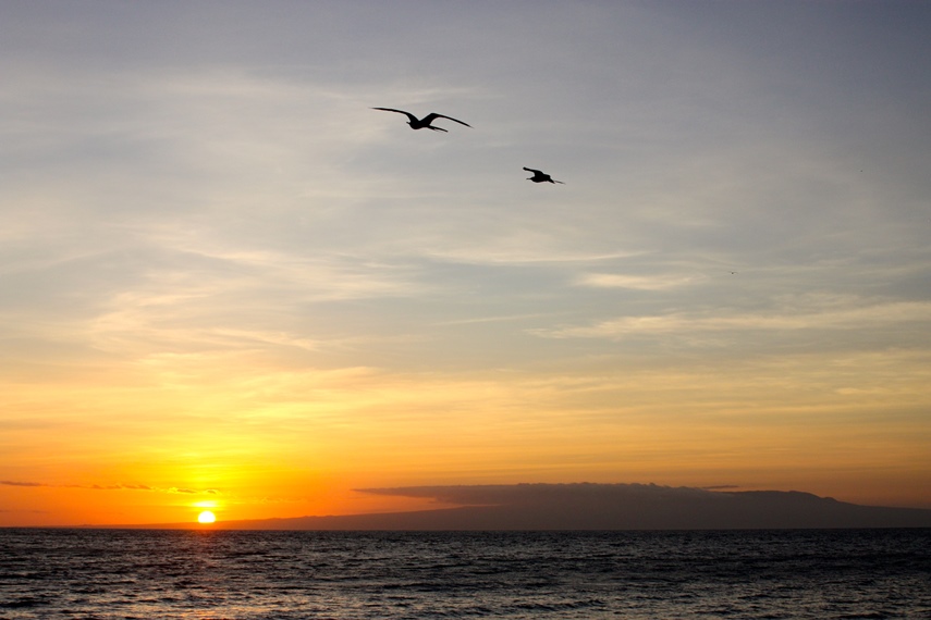 Ecuador Galapagos Islands, Volcan Alcedo, Isabela, Volcan Alcedo at sunset, Walkopedia