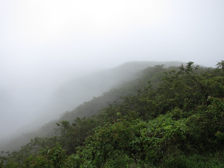 Ecuador Galapagos Islands, Sierra Negra, Isabela, Caldera rim in mist, Walkopedia