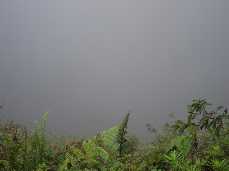 Ecuador Galapagos Islands, Sierra Negra, Isabela, The caldera is somewhere down there, Walkopedia