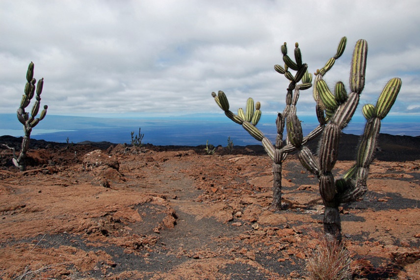 Sierra Negra, Isabela: Hiking Sierra Negra volcano - © Flickr User - jdegenhardt