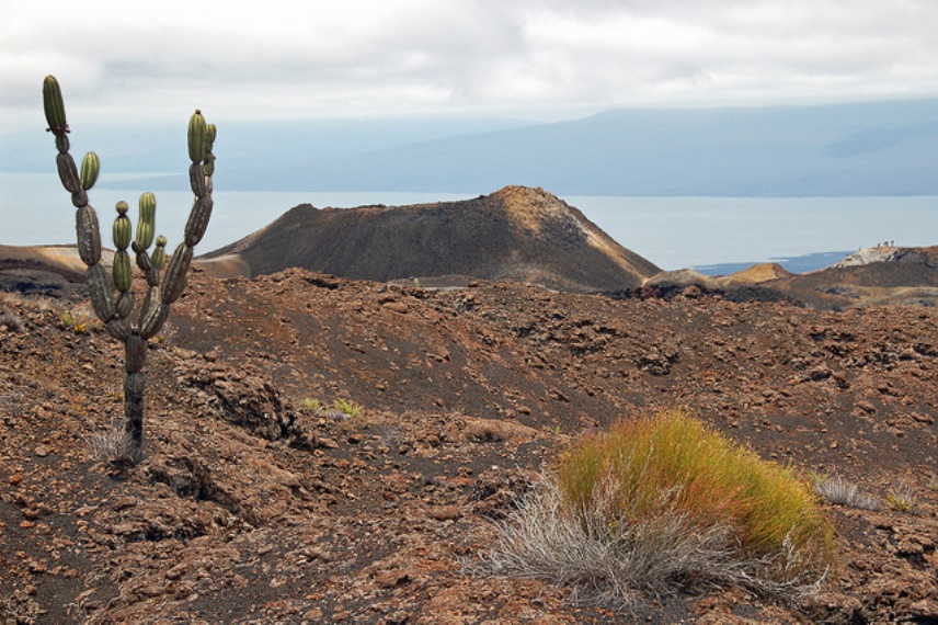 Ecuador Galapagos Islands, Sierra Negra, Isabela, Hiking Sierra Negra volcano, Walkopedia