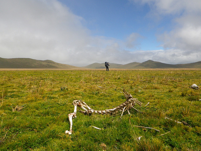 Ecuador Central Andes, Condor Trek, , Walkopedia