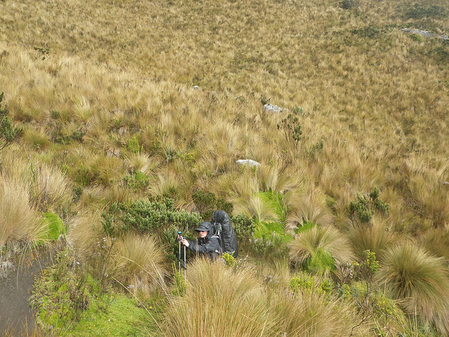 Ecuador Central Andes, Condor Trek, , Walkopedia