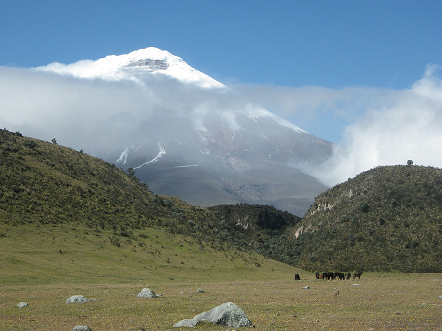 Ecuador Central Andes, Condor Trek, Condor, Walkopedia