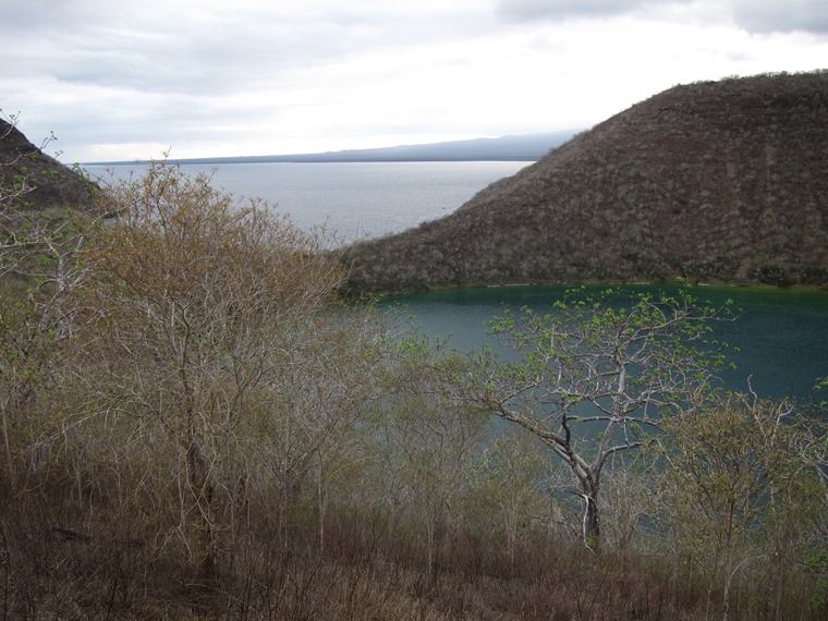 Ecuador Galapagos Islands, Darwin Lake, Isabela, , Walkopedia
