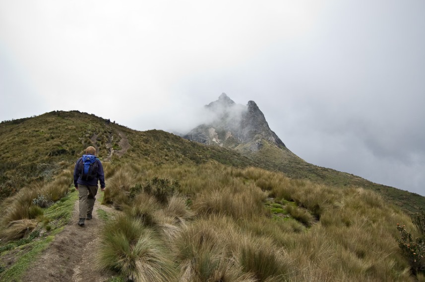 Ecuador Andes: Quito Area, Pichincha Volcanoes, Rucu Pichincha, Walkopedia