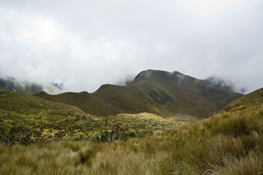 Ecuador Andes: Quito Area, Pichincha Volcanoes, Rucu Pichincha, Walkopedia