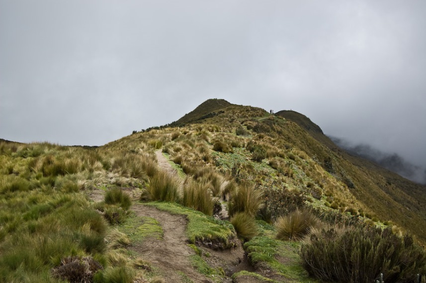 Ecuador Andes: Quito Area, Pichincha Volcanoes, Rucu Pichincha, Walkopedia