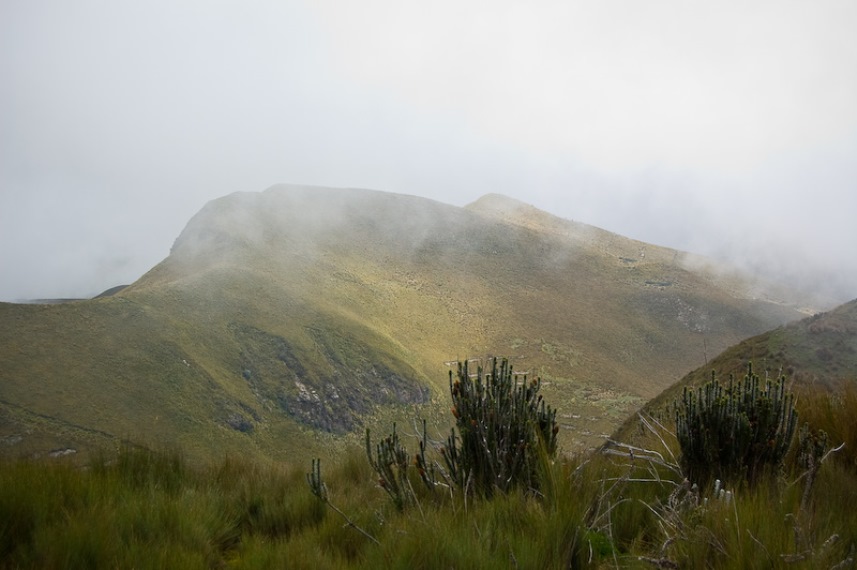 Ecuador Andes: Quito Area, Pichincha Volcanoes, Rucu Pichincha, Walkopedia