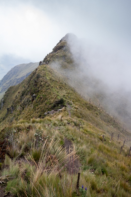 Ecuador Northern Andes: Otavalo Area, Lagunas de Mojanda, Near Laguna de Mojanda, Walkopedia