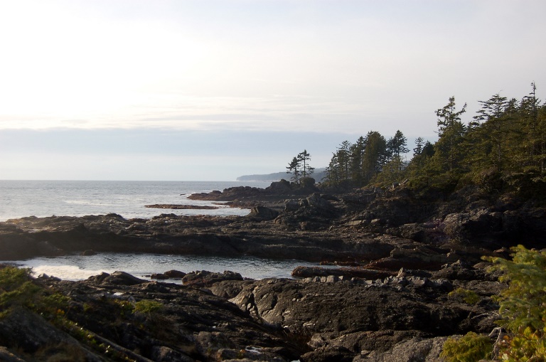 Canada Vancouver, Juan de Fuca Marine Trail, Botanical Beach , Walkopedia